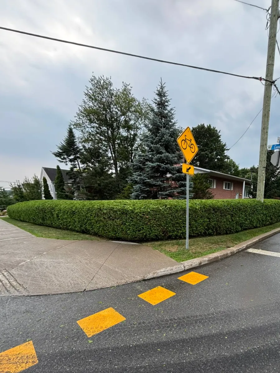 Haie de coin, côté rue, après la taille