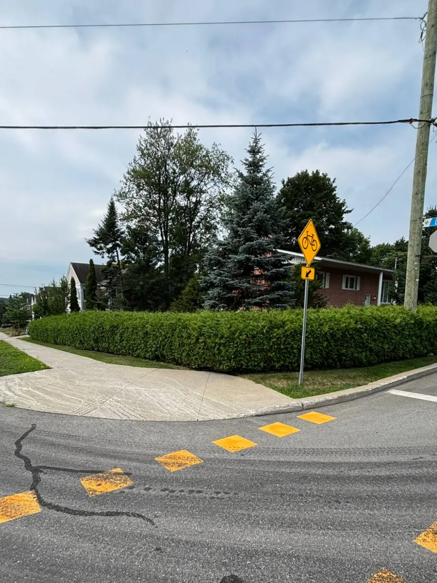 Haie de coin, côté rue, avant la taille